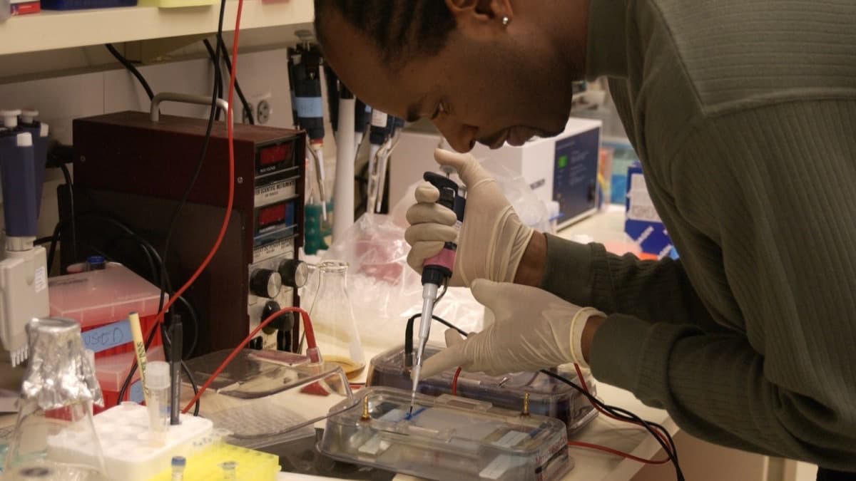 A researcher using a micropipette to load DNA samples into a gel for analysis in a genetics laboratory